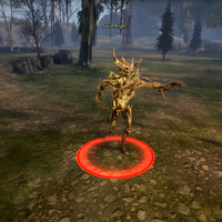 Spine Blight
