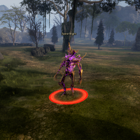 Spine Blight