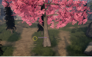 Rise Online Ancient Tree