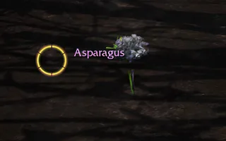 Rise Online Asparagus