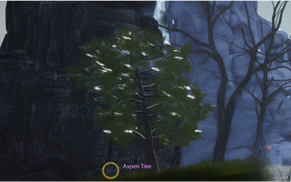 Rise Online Aspen Tree (Lv.20+)