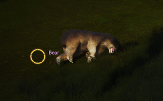 Rise Online Bear