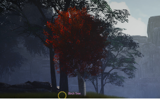 Rise Online Birch Tree (Lv.30+)