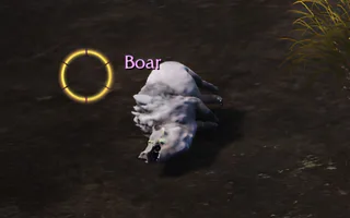 Rise Online Boar