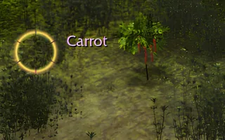 Rise Online Carrot