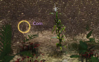 Rise Online Corn