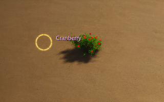 Rise Online Cranberry