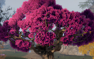 Rise Online Dream Tree (Lv.40+)