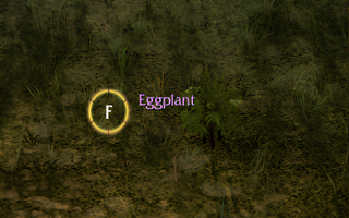Rise Online Eggplant