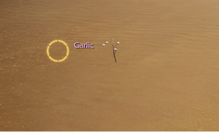 Rise Online Garlic