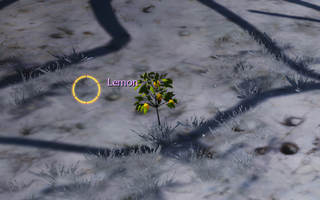 Rise Online Lemon