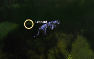 Rise Online Leopard