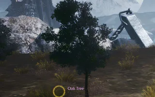 Rise Online Oak Tree (Lv.1+)