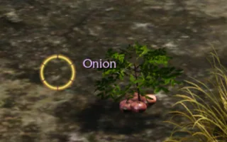 Rise Online Onion