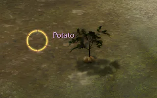 Rise Online Potato