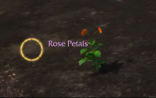 Rise Online Rose Petals