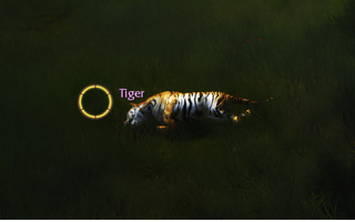 Rise Online Tiger