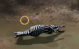 Rise Online Zebra
